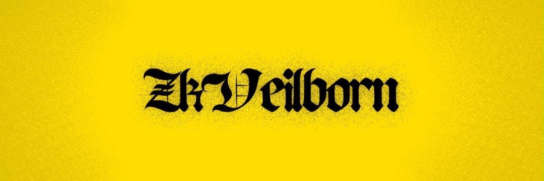 ZkVeilborn's profile banner image