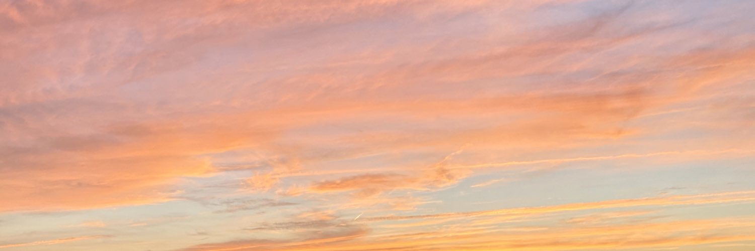tonicesarini's profile banner image