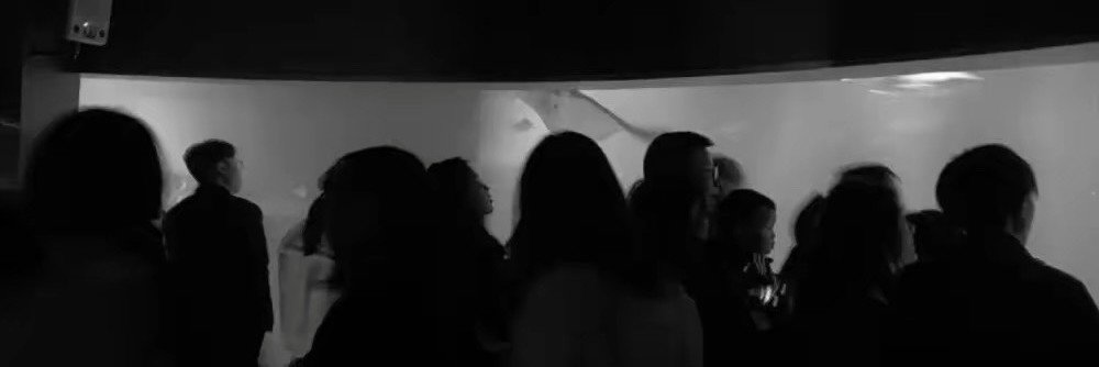 Rayyy112231's profile banner image
