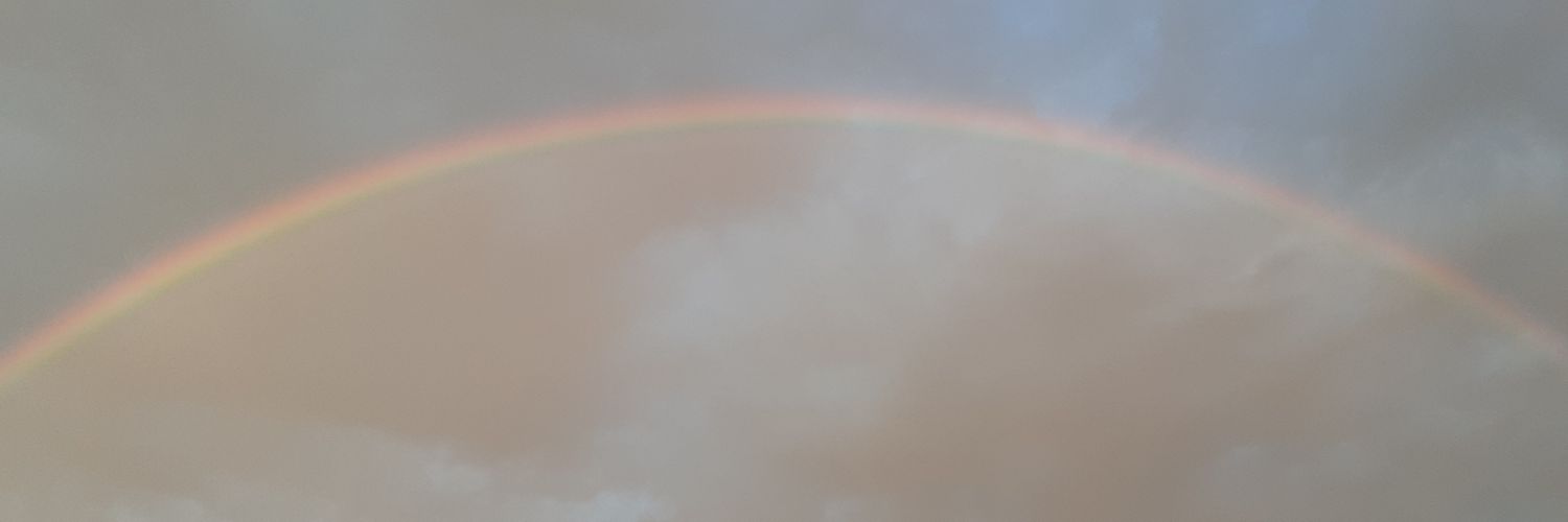 veedubie's profile banner image