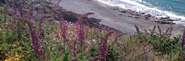 LisaAbend Profile Banner