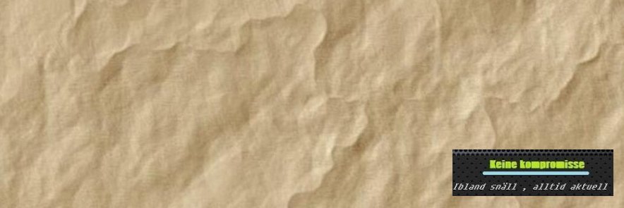 zibbe1's profile banner image