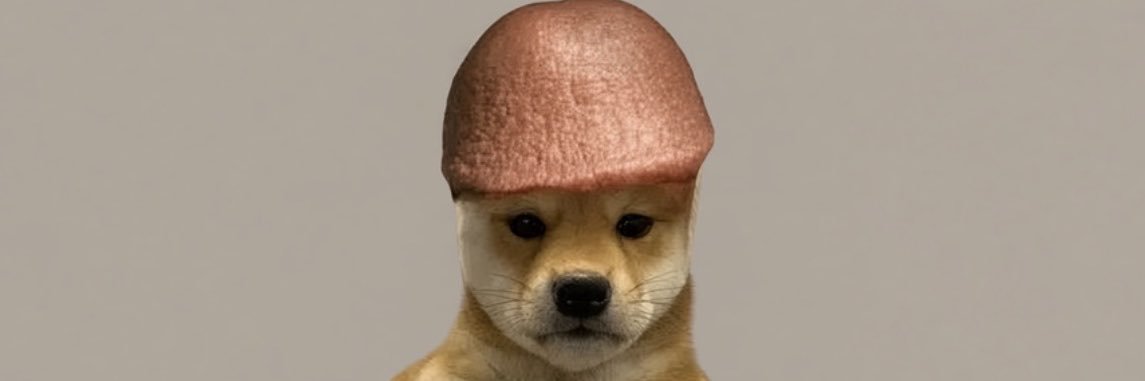 put_dick_inu's profile banner image