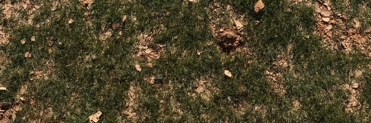iilla8's profile banner image