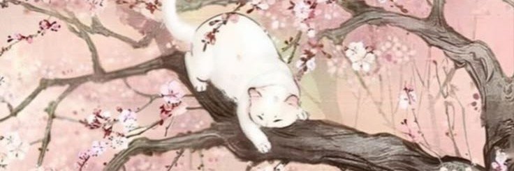 Melorybook's profile banner image