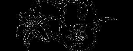 bunnyvice999's profile banner image