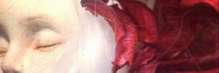 dcun's profile banner image
