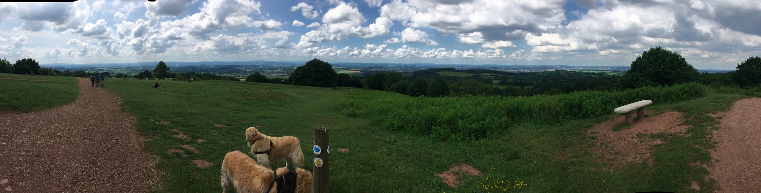 Dr Vicki Pattison-Willits banner