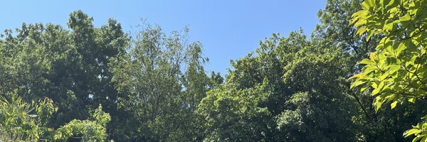 K_Scarpetta Profile Banner