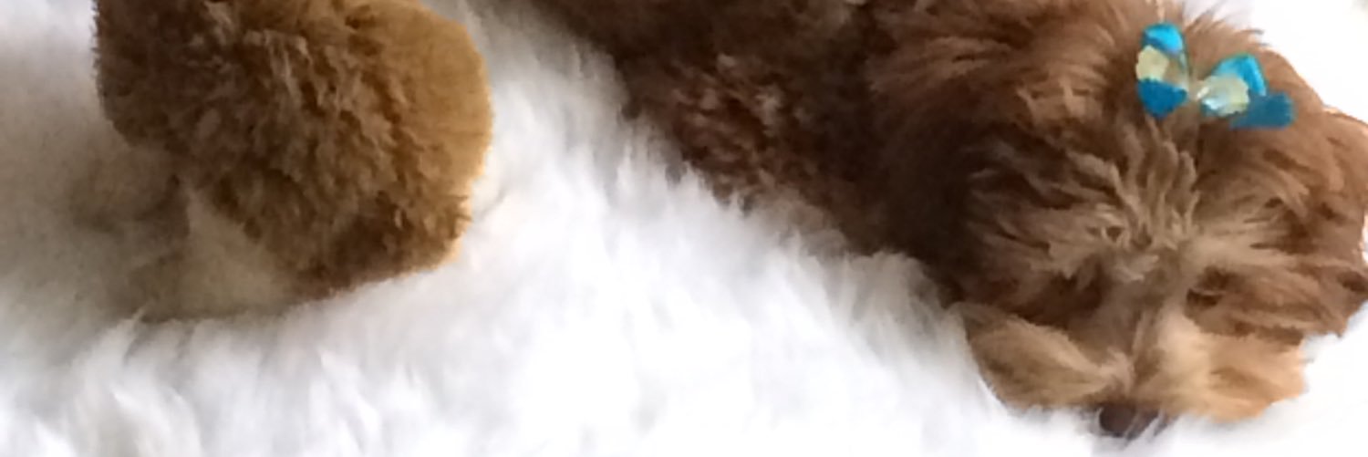 DiLown's profile banner image