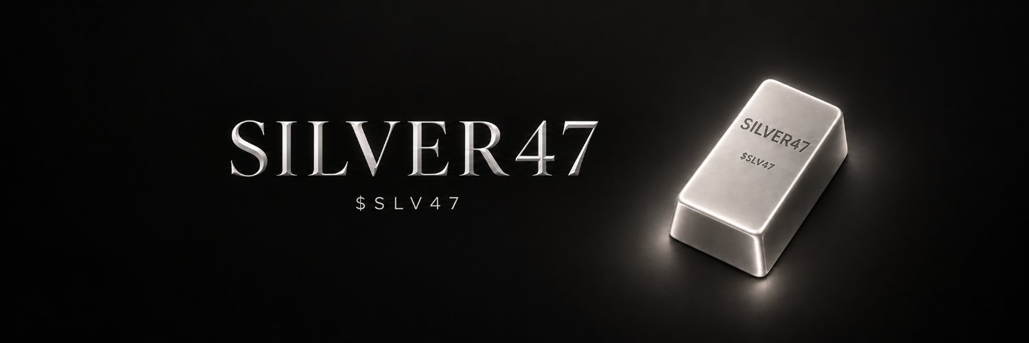 SLV47_ONLINE's profile banner image