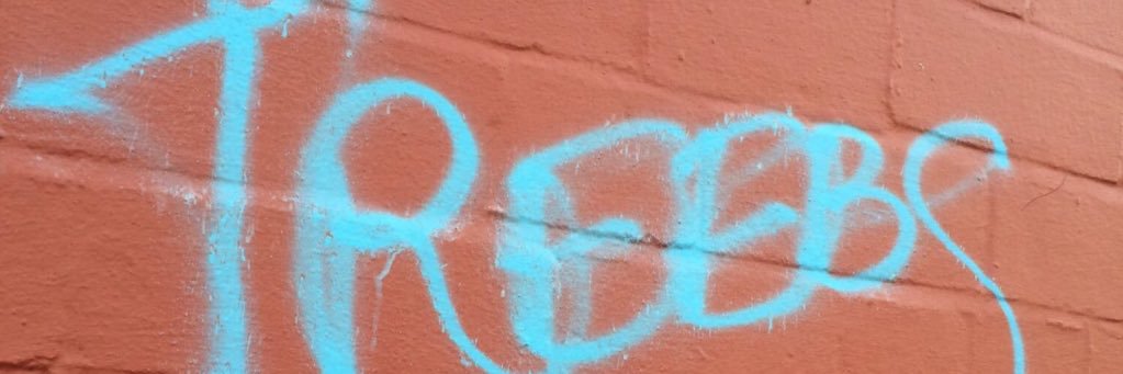 MrTreebs's profile banner image