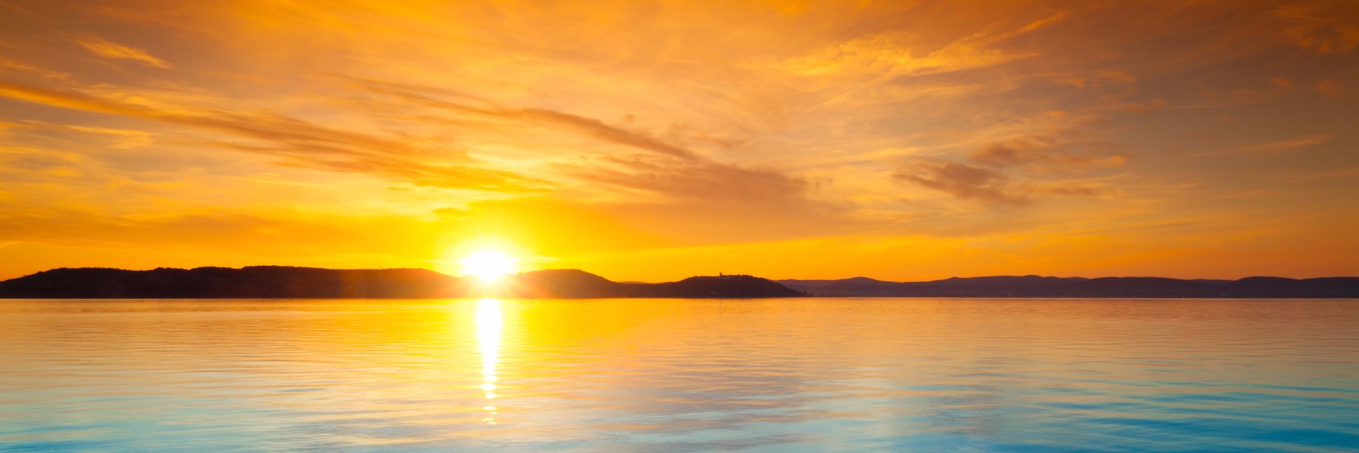 Donnie Steele banner