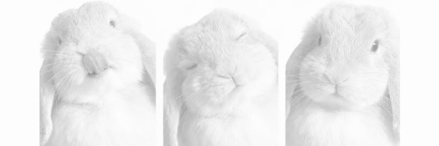 llantolento's profile banner image