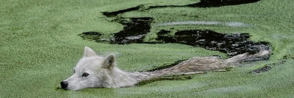juliaher's profile banner image