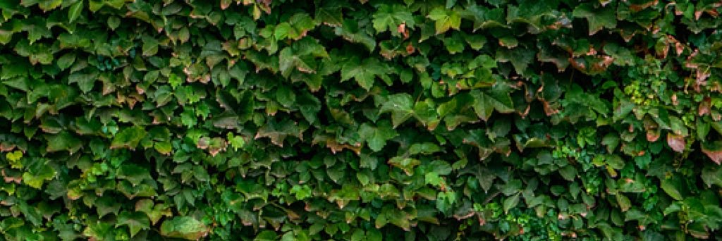 BakerontheBall's profile banner image