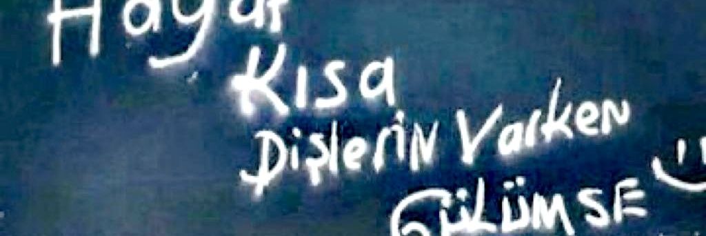 aylindidem's profile banner image