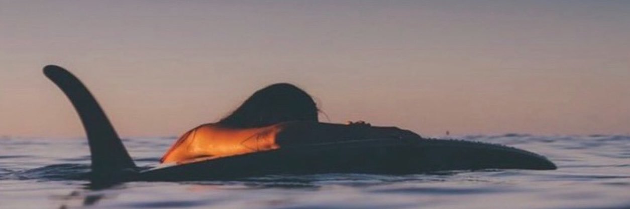 MorganFromHI's profile banner image