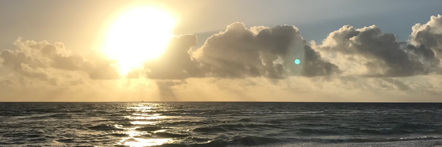 vanessamnedvins's profile banner image