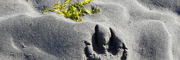 darin_thompson Profile Banner