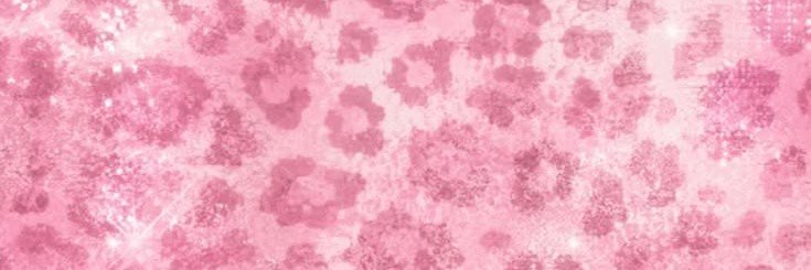 pinktaerchive's profile banner image