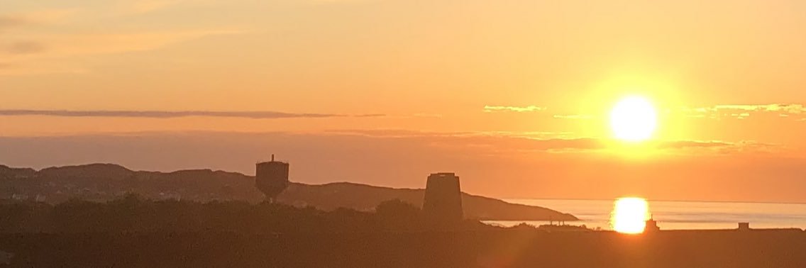 Sian Wyn Palmer banner