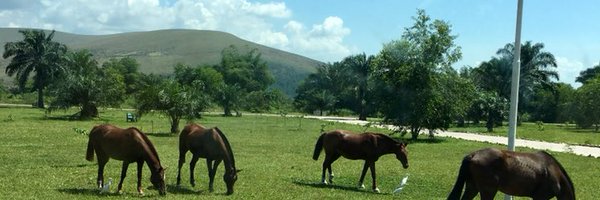 Tathy_Boo Profile Banner