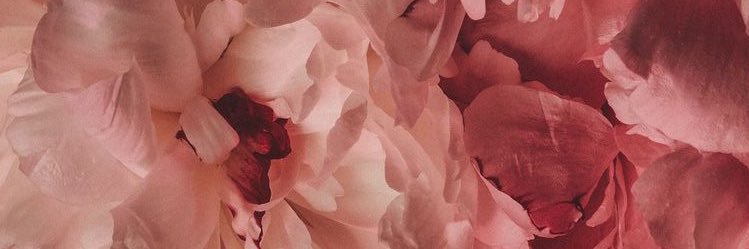 DilaraYurt's profile banner image
