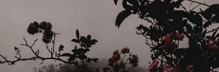 empyreoshk's profile banner image