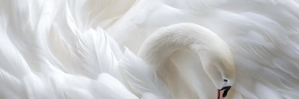 urjooji's profile banner image