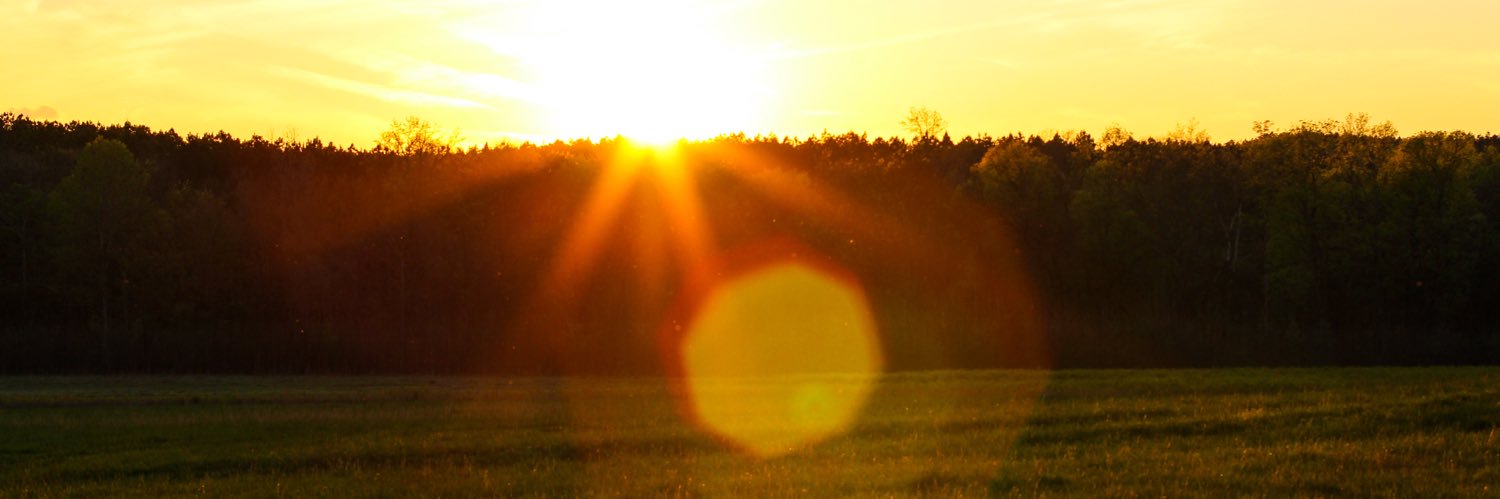 annapw716's profile banner image