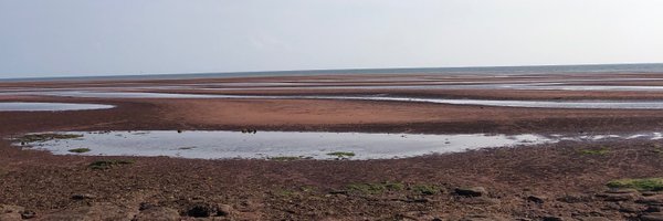 katelynjane Profile Banner