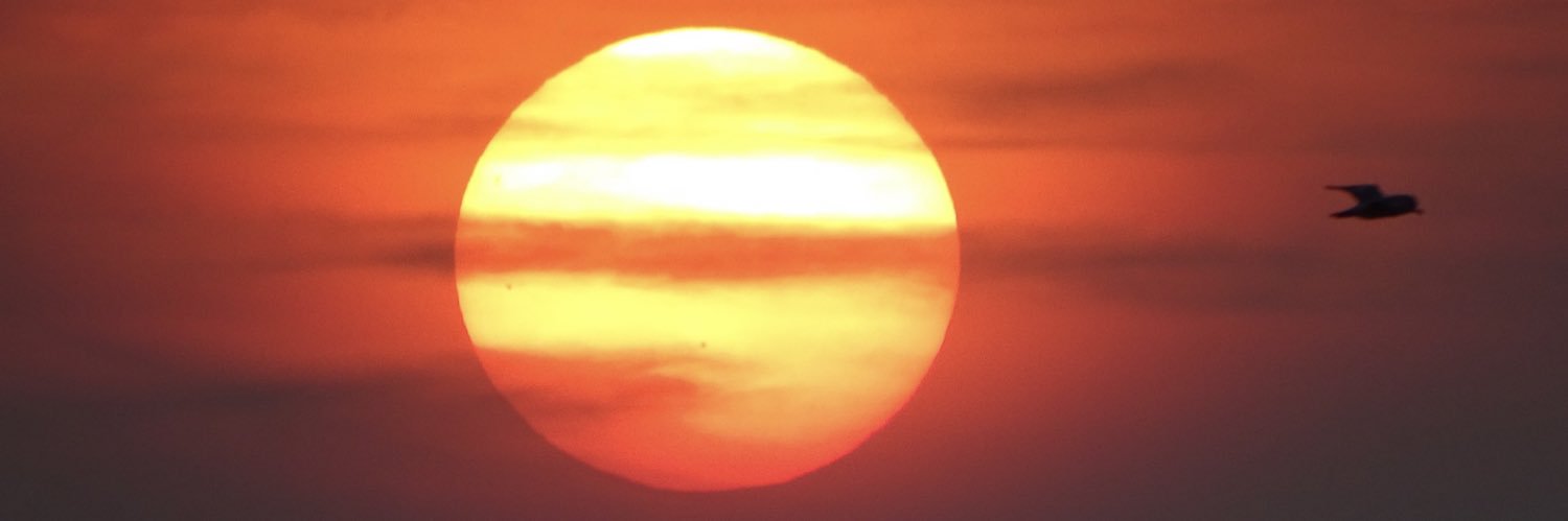 Marchien Brons banner