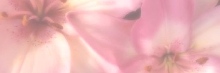 baddiestth's profile banner image