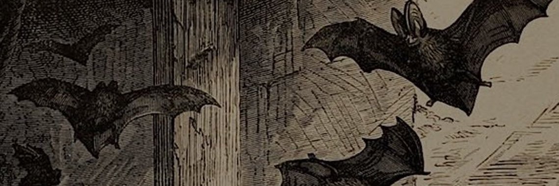 Leonkennedypriv's profile banner image