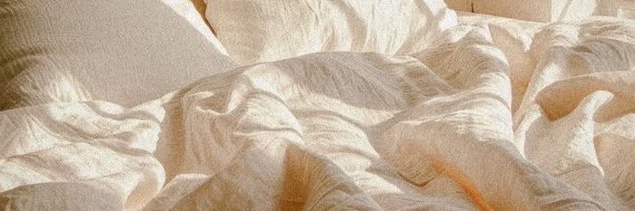 frecklesinlace's profile banner image