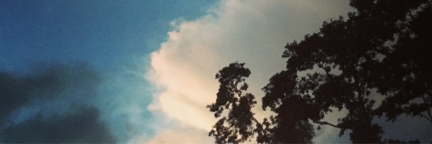 joybruce11's profile banner image