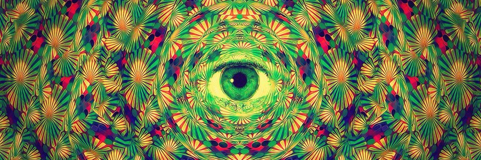 tnlskank's profile banner image