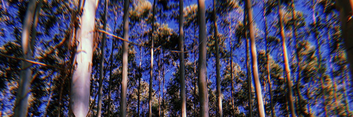NoellaLopez's profile banner image