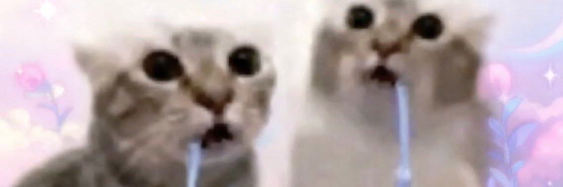 cuppawss's profile banner image
