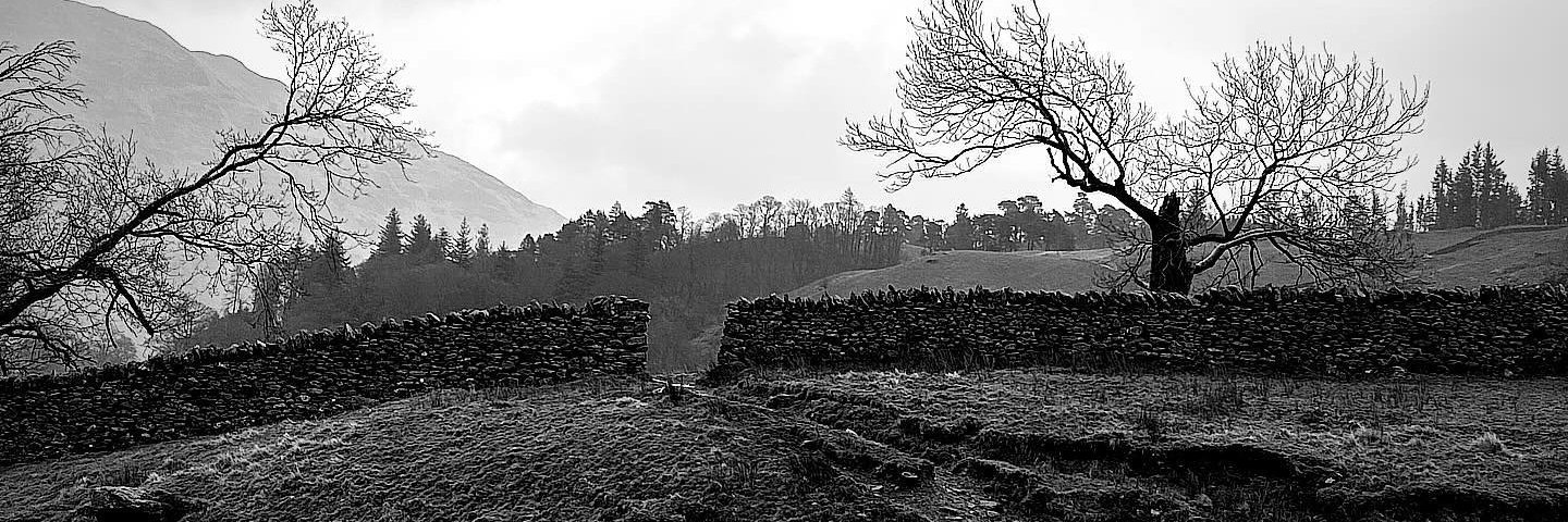 Ross Matthewman banner