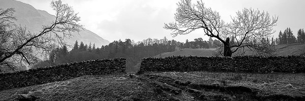 RossMatthewman7 Profile Banner