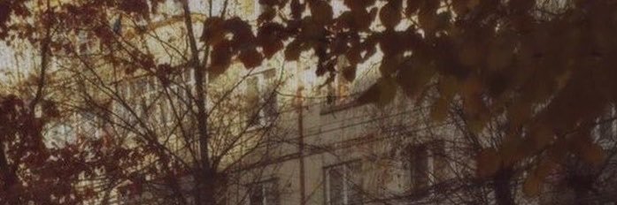 dumb_ppuppy's profile banner image