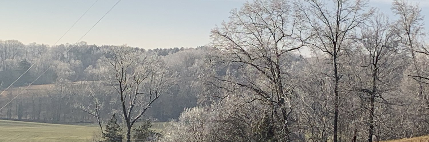 suestringfield's profile banner image
