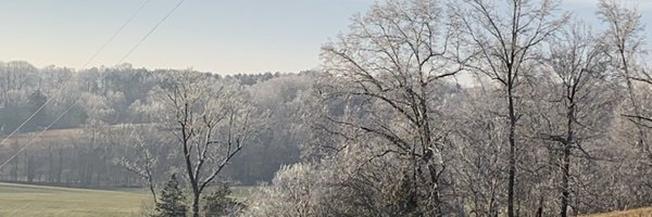 suestringfield Profile Banner