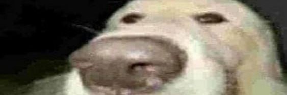 _fl1cky's profile banner image