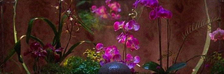 DivaDivine777's profile banner image