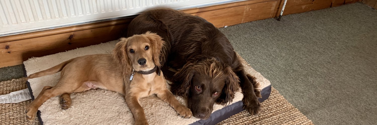 William Taverner banner