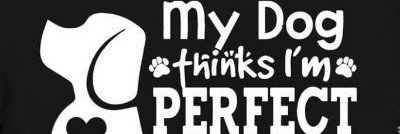 Lillyspaws's profile banner image