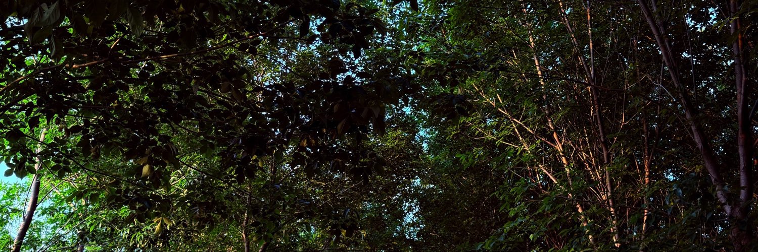 Guanabvc's profile banner image